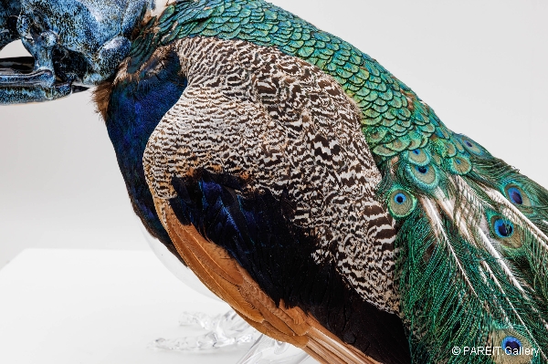 VANMECHELEN Koen - Artificial Crossbreeding